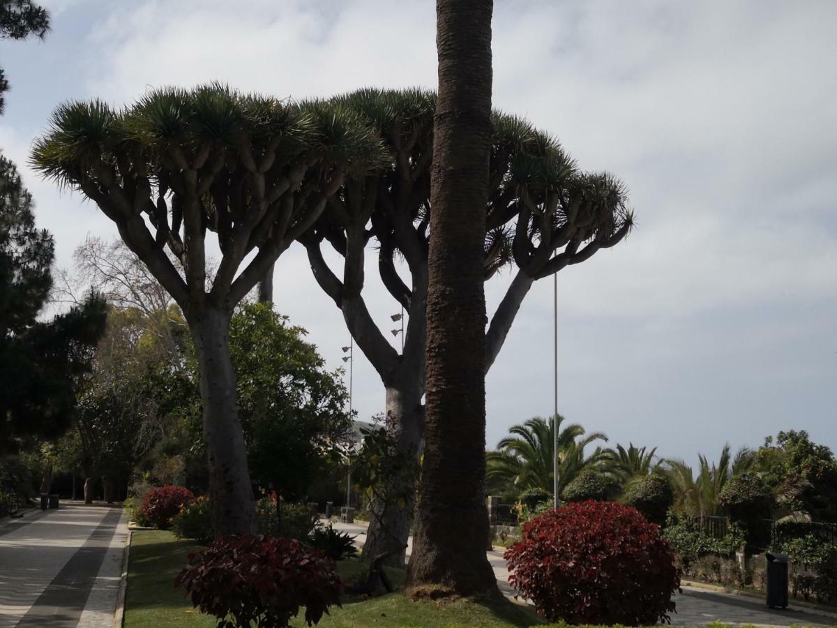 Casa Aridani Villa Arucas Kültér fotó
